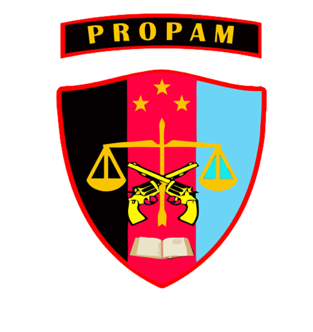 Seksi Provost dan Paminal (SIPROPAM)